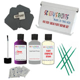 CITROEN KARMA Paint Code KDR Touch Up Paint Repair Detailing Kit