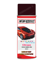 Citroen C3 Rouge Carmen Mixed to Code Car Body Paint spray gun stone chip correction