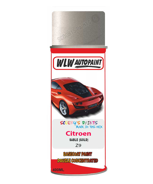 Citroen C3 Sable Mixed to Code Car Body Paint spray gun stone chip correction