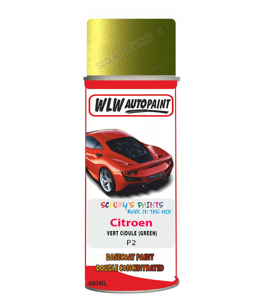 Citroen C3 Vert Cidule Mixed to Code Car Body Paint spray gun stone chip correction