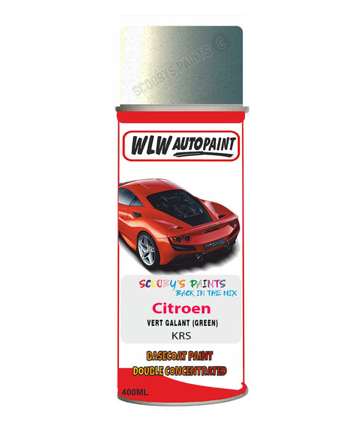 Citroen Saxo Vert Galant Mixed to Code Car Body Paint spray gun stone chip correction