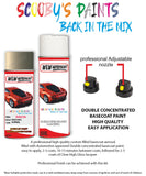 Paint For DACIA logan mcv Code HNL Aerosol Spray for body panel crash repair