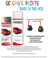 Paint For DACIA logan Code GNB Aerosol Spray for body panel crash repair