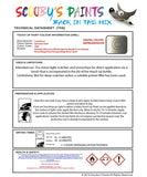 land rover range rover evoque ipanema sand colour data instructions gaq 824 gdr touch up Paint