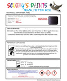 Paint For Honda Civic Misty Violet Rp40P Car Touch Up Paint Scratch Repair
