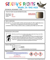Paint For Bmw Gold Paint Code C05 Touch Up Paint Repair Detailing Kit