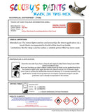 Ford Ecosport Mars Red G Health and safety instructions for use