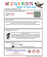 Mitsubishi Colt Pale Green Code Cmg17009 Touch Up paint instructions for use how to paint car