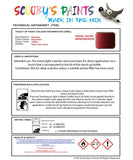 Mitsubishi Pajero Rugged Red Code 1024811 Touch Up paint instructions for use how to paint car