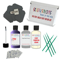 DODGE PLUM CRAZY Paint Code PHG Touch Up Paint Repair Detailing Kit