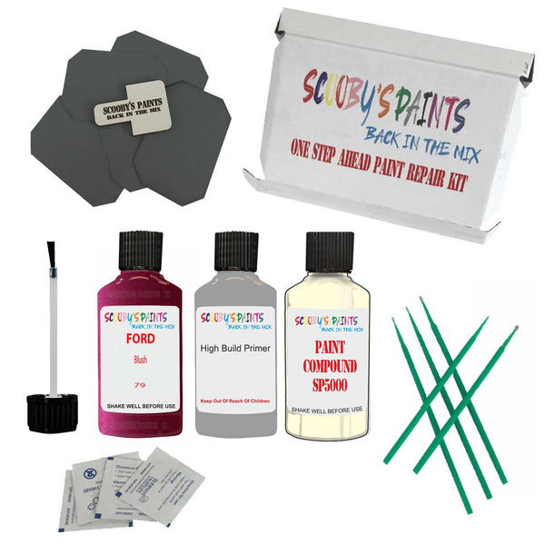 Paint For FORD Blush Code: 79 Paint Detailing Scratch Repair Kit