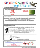 Ford Fiesta Mean Green 1Gcewha Health and safety instructions for use