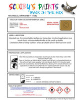 Ford Puma Citrus Gold X Health and safety instructions for use