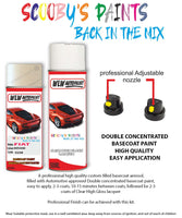 Paint For Fiat 500 Code 020B Aerosol Spray for body panel crash repair