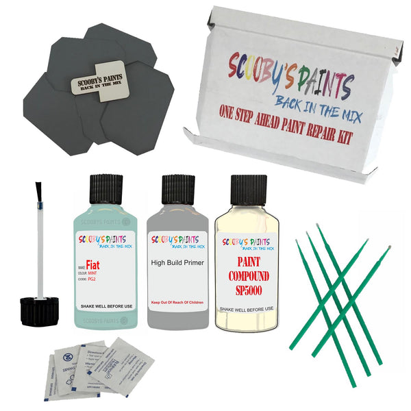 FIAT MINT Paint Code PG2 Touch Up Paint Repair Detailing Kit