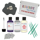FIAT VIOLETTO ADREXO Paint Code 125B Touch Up Paint Repair Detailing Kit