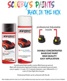 ford transit plum blush aerosol spray car paint can with clear lacquer
