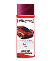 spray paint aerosol basecoat chip repair panel body shop dent refinish ford ka-blush-aerosol-spray