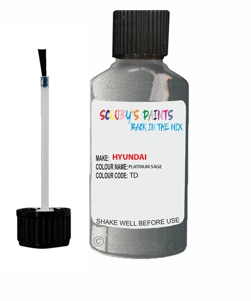 hyundai santa fe platinum sage code td touch up paint 2007 2010 Scratch Stone Chip Repair 