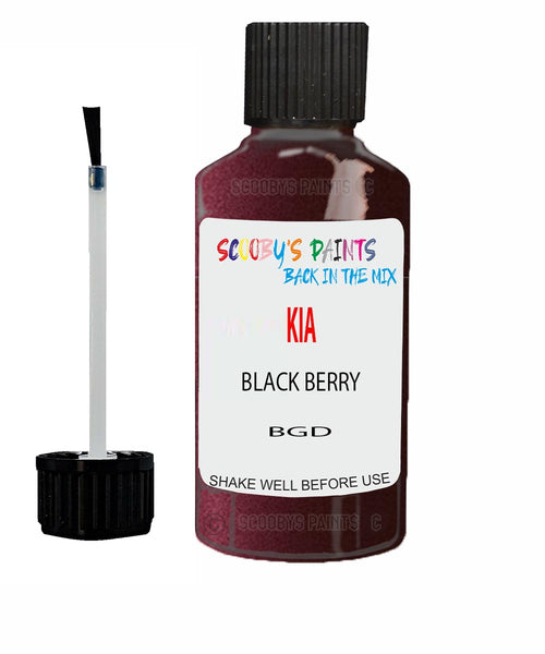 Paint For KIA carnival BLACK BERRY Code BGD Touch up Scratch Repair Pen