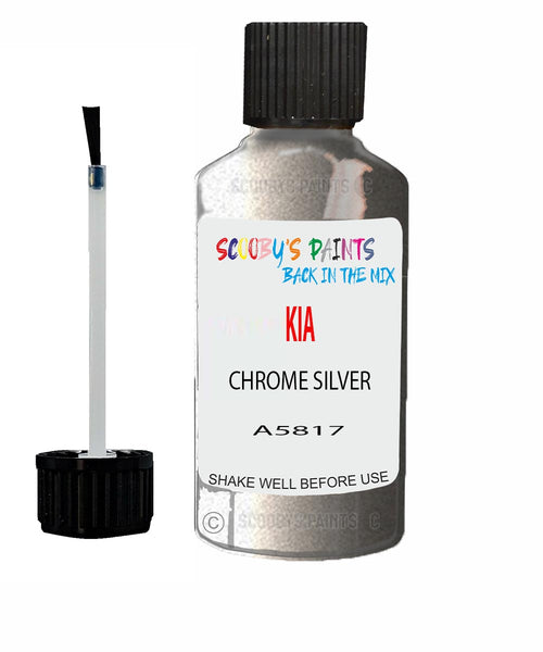 Paint For KIA carnival CHROME SILVER Code A5817 Touch up Scratch Repair Pen