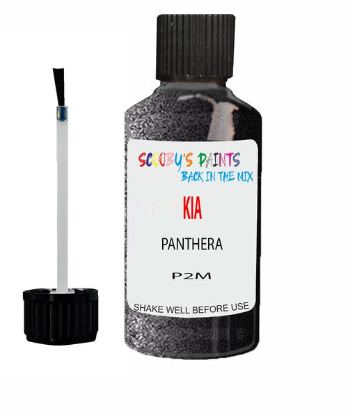 Paint For KIA carnival PANTHERA Code P2M Touch up Scratch Repair Pen