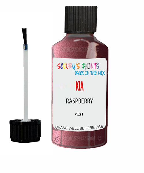 Paint For KIA carstar RASPBERRY Code QI Touch up Scratch Repair Pen