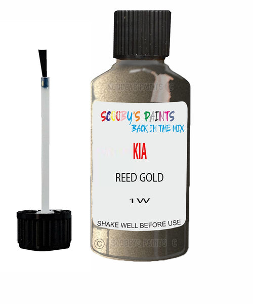 Paint For KIA carnival REED GOLD Code 1W Touch up Scratch Repair Pen
