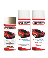 Primer undercoat anti rust Spray Paint For Kia Spectra Champagne Gold Colour Code N1