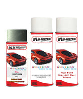 Primer undercoat anti rust Spray Paint For Kia Rio Forest Green Colour Code 6G