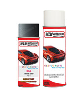 Basecoat refinish lacquer Spray Paint For Kia Sephia Mouse Gray Colour Code V1