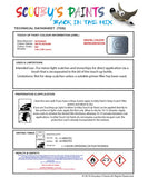 Mitsubishi L300 Arctic Blue Code B80 Touch Up paint instructions for use how to paint car