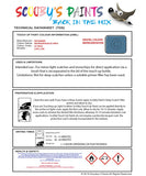 Mitsubishi L300 Michigan Blue Code Ac10854 Touch Up paint instructions for use how to paint car