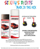 nissan juke brown ash aerosol spray car paint clear lacquer can