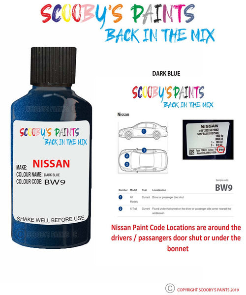 BASF 2oz Touch Up Paint Kit With Brush - Nissan Majestic Blue BW9 - Ships Today!