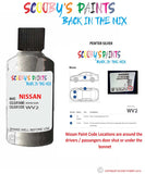 Nissan Maxima Pewter Silver colour code location sticker Wv2 Touch Up Paint