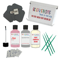 NISSAN CHARITY PINK Paint Code PNK Touch Up Paint Repair Detailing Kit