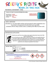 Nissan Micra Azul Turquoise Code Rbk Touch Up Paint Instructions for use application