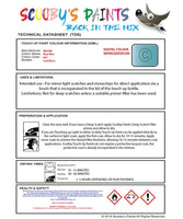 Nissan Leaf Bays Blue Code B41 Touch Up Paint Instructions for use application