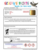 Nissan Note Beatnik Gold Code Eak Touch Up Paint Instructions for use application