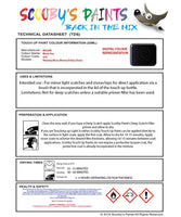 Nissan Maxima Black Star Code G42 Touch Up Paint Instructions for use application