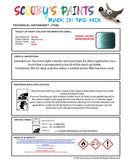 Nissan Nv200 Blueish Green Code Fad Touch Up Paint Instructions for use application