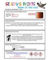 Nissan Xtrail Bright Copper Orange Code R10 Touch Up Paint Instructions for use application