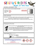 Nissan Nv300 Drop Silver Code Grp/D69/ Touch Up Paint Instructions for use application
