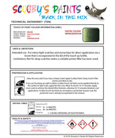 Nissan Xtrail Green Iron Oxide Code Ds2 Touch Up Paint Instructions for use application