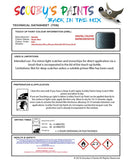 Nissan Nv200 Haptic Blue Code Raq Touch Up Paint Instructions for use application