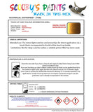 Nissan Navara Imperial Orange Code Eau Touch Up Paint Instructions for use application