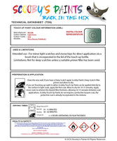 Nissan Murano Light Green Code Fae Touch Up Paint Instructions for use application