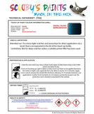 Nissan Maxima Lunar Blue Code B46 Touch Up Paint Instructions for use application