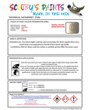 Nissan Pathfinder Satin Fume Code Had Touch Up Paint Instructions for use application